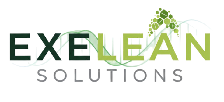 Exelean Solutions